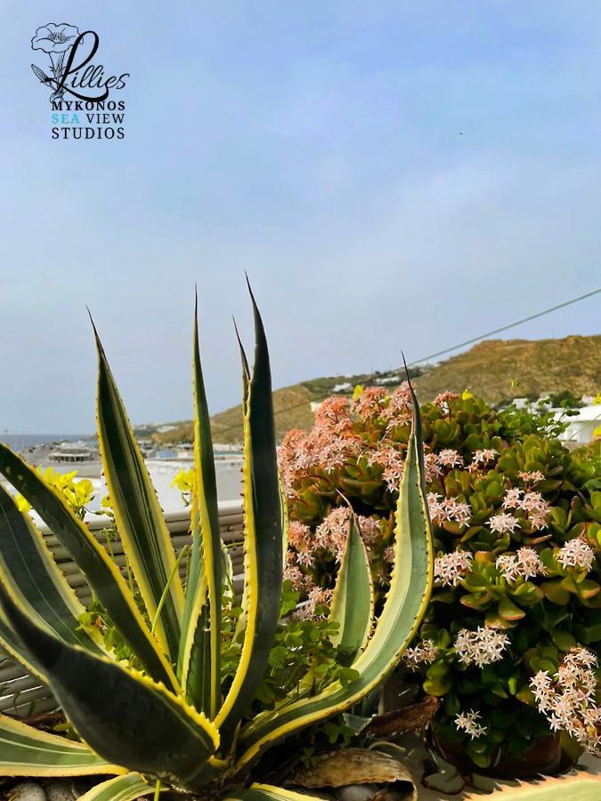 Lillies Mykonos Sea View Studios 图罗斯 外观 照片
